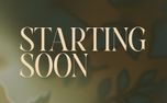 Velvet Fall : Starting Soon (153053)