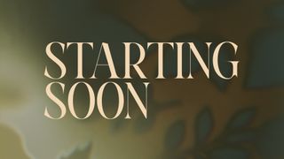 Velvet Fall : Starting Soon