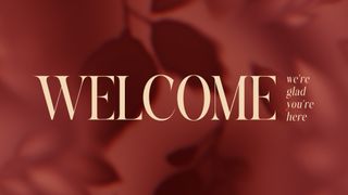 Velvet Fall : Welcome