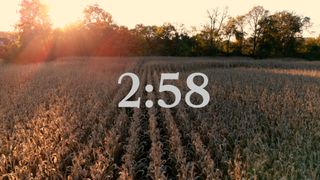Harvest Countdown