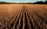 Harvest Loop (153119)