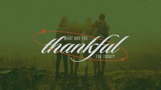 What Are You Grateful For