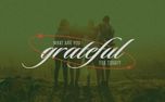 What Are You Grateful For (153192)