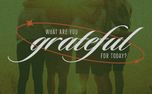What Are You Grateful For (153197)