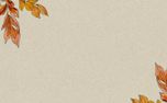 What Is Your Favorite Thanksgi (153200)