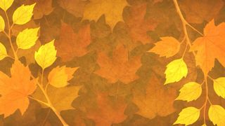 Autumn Gatherings BG #7