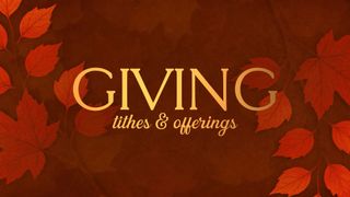 Autumn Gatherings Giving