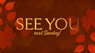 Autumn Gatherings See You