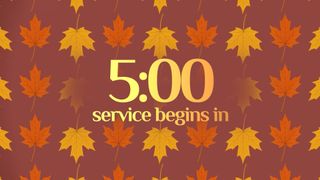 Patterned Leaves Countdown