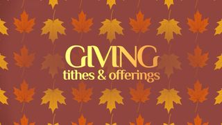 Patterned Leaves Giving