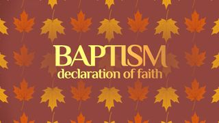 Patterned Leaves Baptism