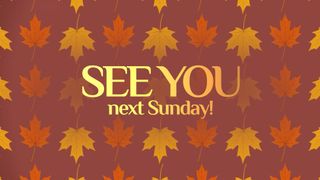 Patterned Leaves See You