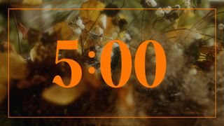 Flora Fall : Countdown