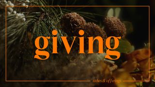 Flora Fall : Giving