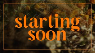 Flora Fall : Starting Soon