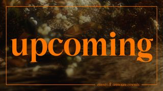 Flora Fall : Upcoming