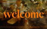 Flora Fall : Welcome (153443)