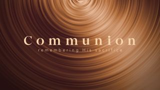 As The Seasons Turn : Communio