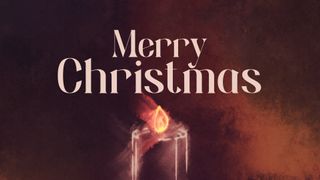 Light of Advent : Christmas