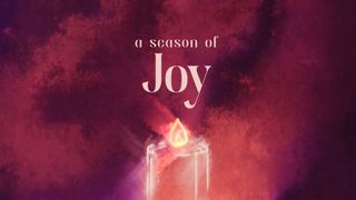 Light of Advent : Joy