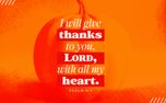  I Will Give Thanks To You (153582)