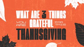 3 Things You Are Grateful For