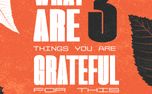 3 Things You Are Grateful For (153593)