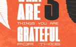3 Things You Are Grateful For (153594)