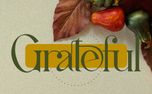 Grateful (153657)