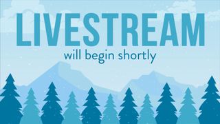 Winter Scene Livestream