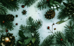 Christmas Greenery 5 (153722)
