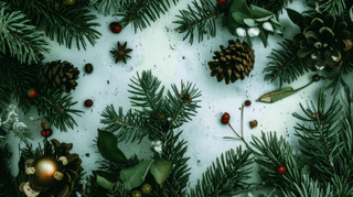 Christmas Greenery 5