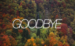 GOODBYE (153739)