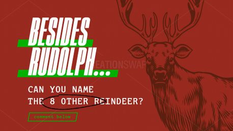 Can You Name the Reindeer (153781)