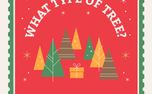 Christmas Tree: Real Or Not? (153812)