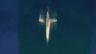 Light of Christmas : Loop 03