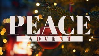 Peace (Advent)