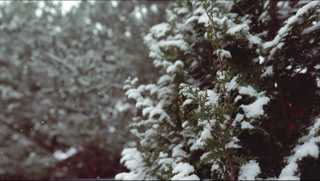 BACKGROUND CHRISTMAS