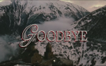GOODBYE (153999)