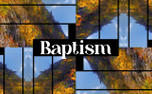 Fall Bars Baptism (154035)