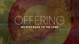 Grunge Winter Offering