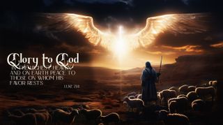 Shepherds in the Field