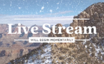 Canyon Snow Live Stream (154363)