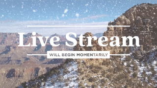 Canyon Snow Live Stream