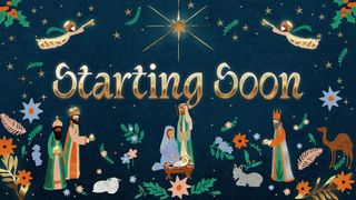 Heaven & Nature Sing : Startin