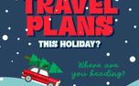 Travel Plans This Holiday (154508)