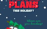 Travel Plans This Holiday (154509)