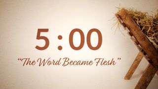 Christmas Manger Countdown