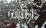 GOODBYE (154558)