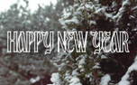 HAPPY NEW YEAR (154559)